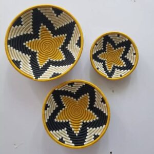3in1 bowel wall basket